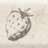 Плитка настенная : Mistral Marfil Strawberry