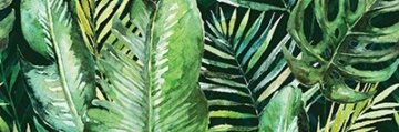 Декоры Braga (Брага) Ceramica Konskie: Tropic A Rect