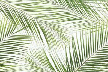 Карвинг 60x60 Brennero (Бреннеро) Ceramica Konskie: Tropic 2