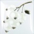 Декоры  : Season Ribes Brillo Bisel Blanco