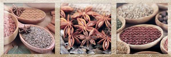 Элемент Decor B коллекции Exquisit (Экскьюсит) Monopole