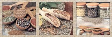 Карвинг 60x60 Exquisit (Экскьюсит) Monopole: Decor A