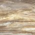 Плитка напольная  : LM Fossil MC 200x100 R (полированная)