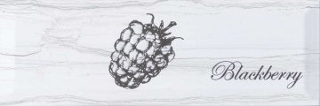 Карвинг 60x60 Fruit (Фруит) Monopole: Decor Laguna Blackberry