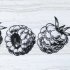Плитка настенная : Decor Laguna Raspberry