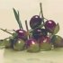 Плитка настенная : Decor Gourmet Olivas