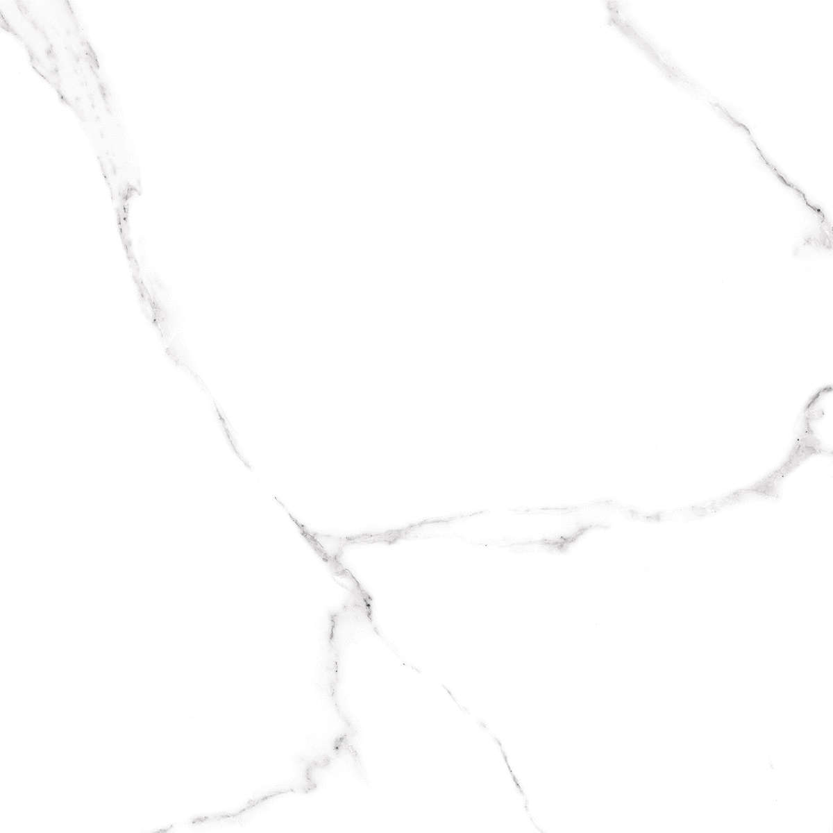 Элемент Керамогранит Каррара / Carrara коллекции Лацио (Lazio) Alma Ceramica