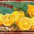 Плитка настенная  : Цитрон