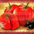 Плитка настенная  : Томаты