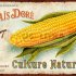 Плитка напольная  : Кукуруза
