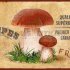 Плитка настенная  : Грибы