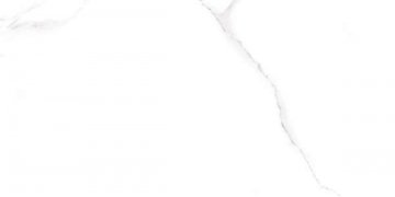Карвинг 60x60 Palmira (Пальмира) Dual Gres: Blanco new 72