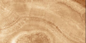 Плитка настенная Прайм (Prime) Laparet: Прайм Плитка настенная оранжевый 34027