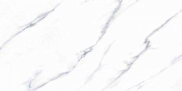 Карвинг 60x60 Pulido NPlus (Пулидо Нплюс) Fanal: Carrara