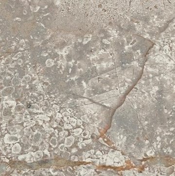 Карвинг 60x60 Empire (Эмпайр) Atlas Concorde: Вставка Empire Silver Root Bottone Lap