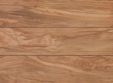 Карвинг 60x60 Etic (Этик) Atlas Concorde: Керамогранит Etic Ulivo 22,5x90 (AJ8E)