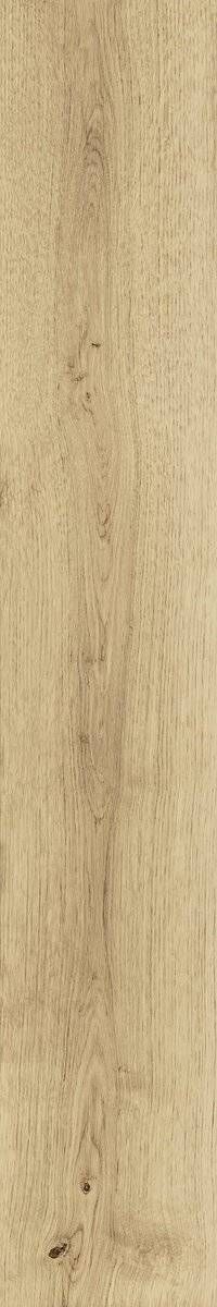 Элемент Керамогранит Exence Vanilla 20x120 (AO47) коллекции Exence (Эксенсе) Atlas Concorde