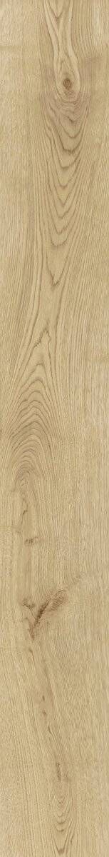 Элемент Керамогранит Exence Vanilla 18,5x150 (AOUH) коллекции Exence (Эксенсе) Atlas Concorde