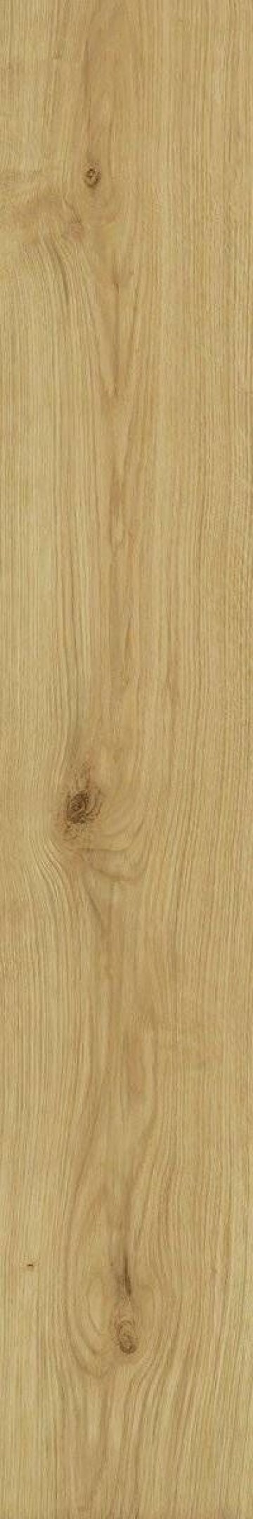 Карвинг 60x60 Exence (Эксенсе) Atlas Concorde: Керамогранит Exence Almond 20x120 (AO48)