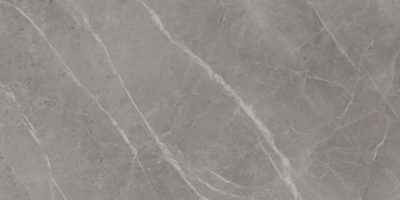 Полированный 60x120 Marvel pro (Марвел Про) Atlas Concorde: Керамогранит Marvel Grey Fleury 60x120 Lappato (A21M)