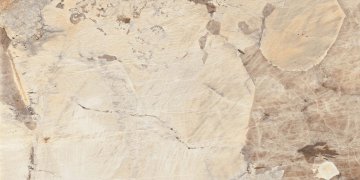 Полированный 60x120 Мрамор (Marble) OnlyGRES: Керамогранит MOG304 60x120x9 Полированный Рект.