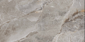 Полированный 60x120 Серый Камень (Essence Grey) Primavera: Керамогранит Серый Камень