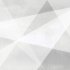 Матовый 60x60   : Плитка настенная Шейп Геометрия белый / Shape Geometry White  249*500*8,5