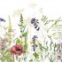 Широкоформатный 80х160 : Вставка Flora bloom 20х60