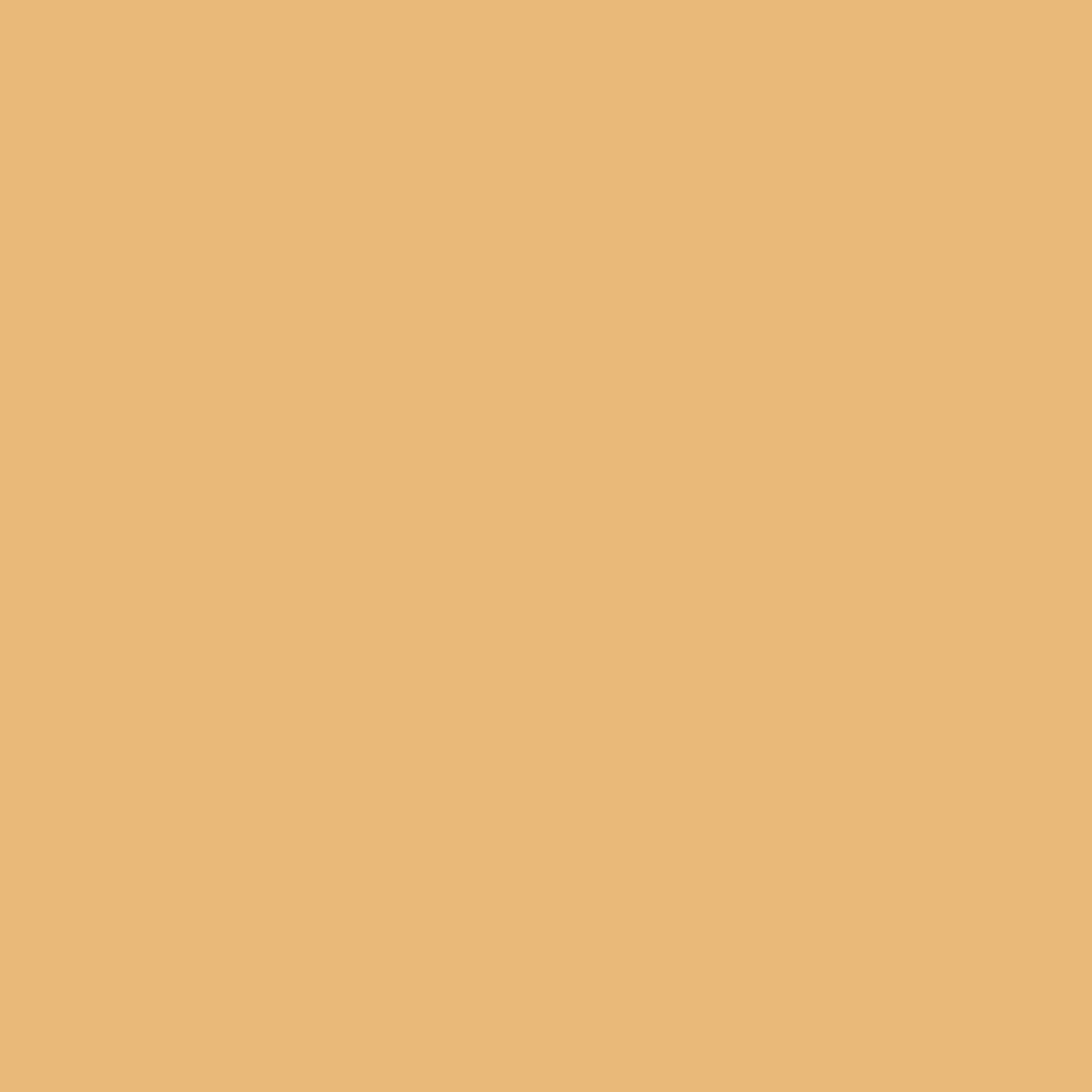 Элемент Керамогранит Poly Mustard 20х20 коллекции Poly (Поли) Creto